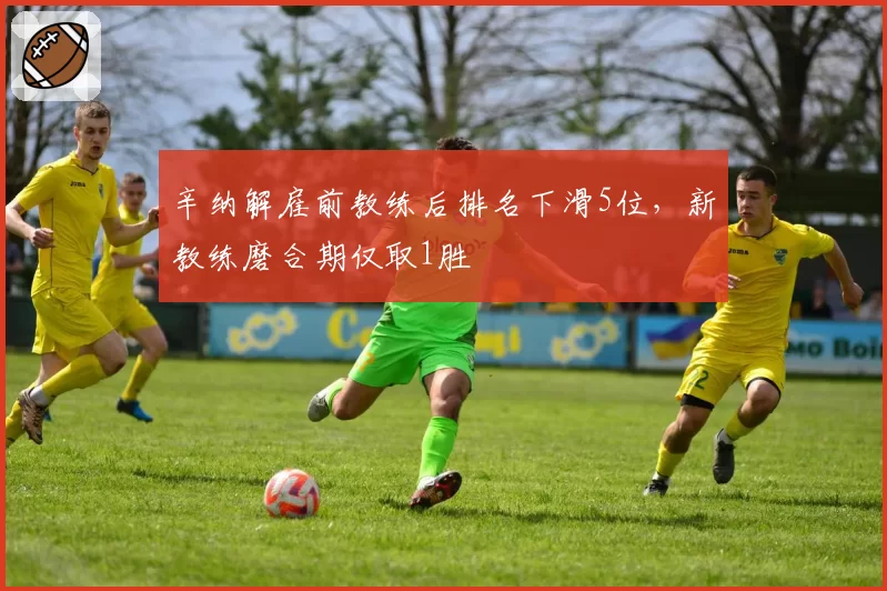 辛纳解雇前教练后排名下滑5位，新教练磨合期仅取1胜
